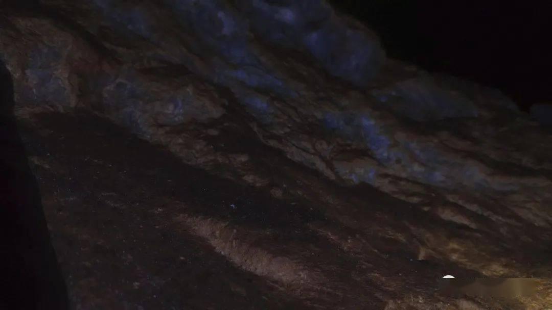 探知问答-专业有爱的问答社区